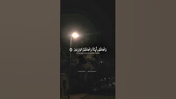 محمد صديق المنشاوي | سورة القصص