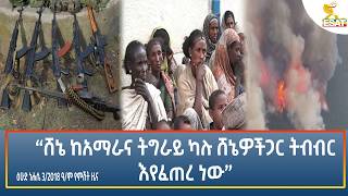 Ethiopia - ESAT Amharic Night Time News 9 August 2026