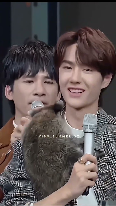 Lucky raccoon #wangyibo #wangyibo王一博 #shorts #daydayup