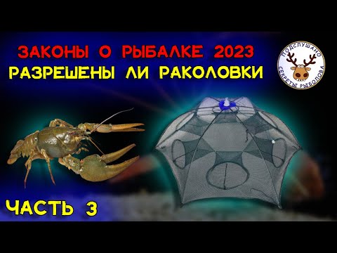 Правила рыболовства 2023 ❗ Запрет на раколовки ❗ Ошибка в законе ❓ Ловля рядом с сетями ❗ ЧАСТЬ 3