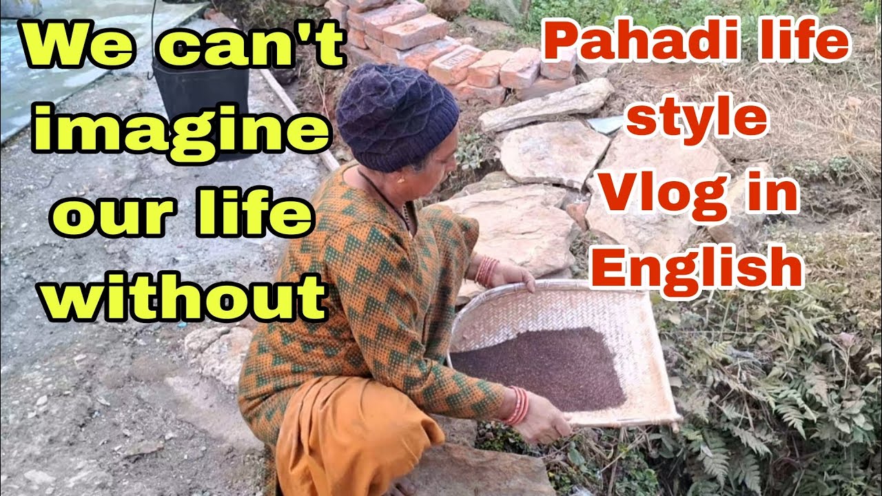 We can't imagine our life ||Pahadi life style vlog in English 