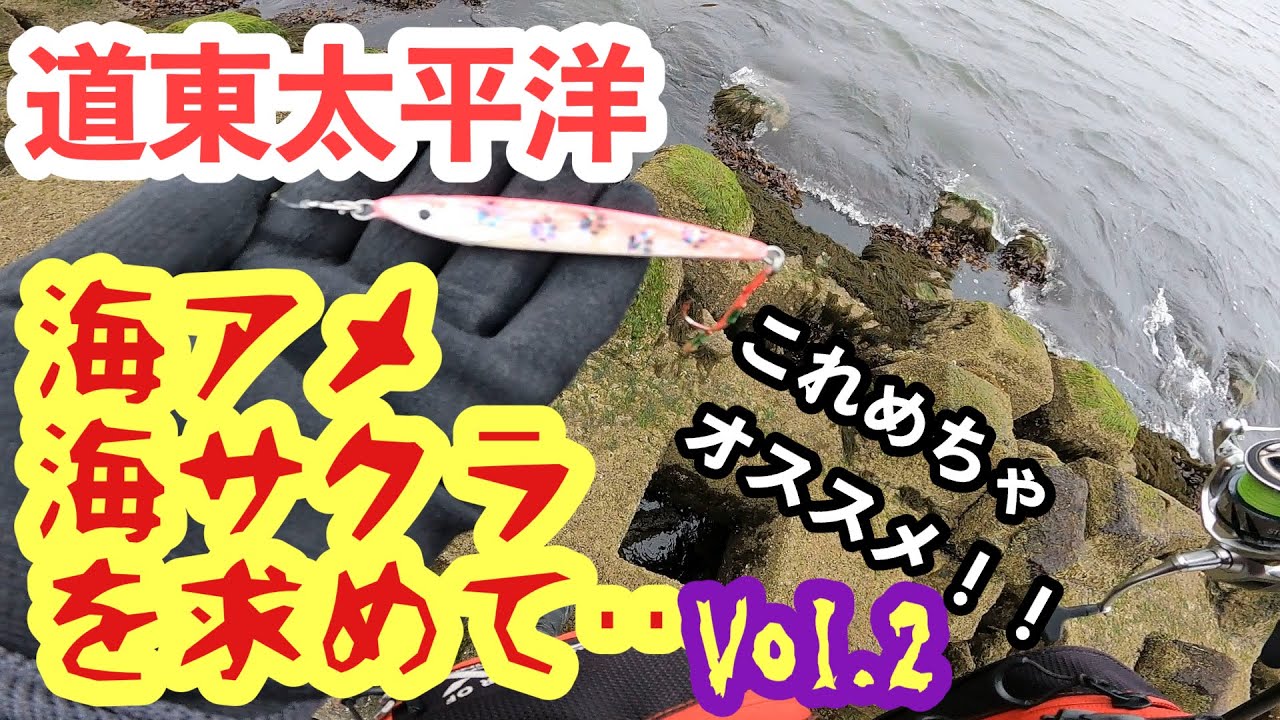【道東太平洋】海アメ海サクラを求めて…Vol.2