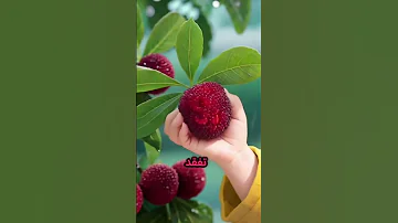 هذه هي الحياة شئت أم ابيت كلام جميل وواقعي لايك اشتراك اللهم سعادة وجبرا لكل متابعيني 