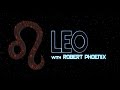 Leo sun sign   heart and ego