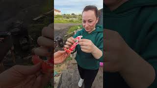 Что вкуснее краб 🦀 или морской ежик
