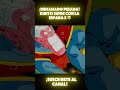 ¡KIBITO NO PUEDE LEVANTAR LA ESPADA Z! #dragonballz #dbz #anime