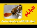 أسهل طريقة لعلاج الكلب من البارفو بنفسك بدون بيطري Parvovirus 