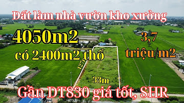 Đất Cần Giuộc giá rẻ. Diện tích 4050m2 trong đó có 2400m2 thổ cư gần DT830 giá tốt, SHR