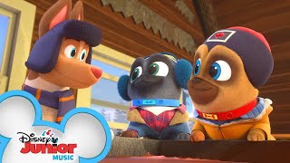 Sugar Shack Shakins Music Video Puppy Dog Pals Disney Junior