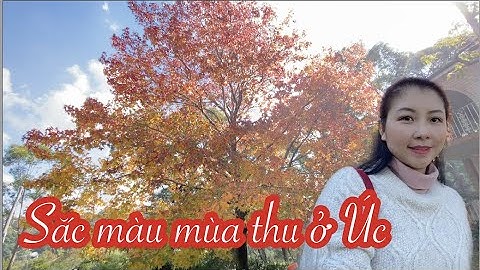 SẮC THU VÀNG Ở ÚC | MÙA THU Ở ÚC | AUTUMN IN AUSTRALIA | DU LỊCH ÚC | CUỘC SỐNG ÚC | CHAU RICHES