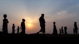 Internal Migration in US