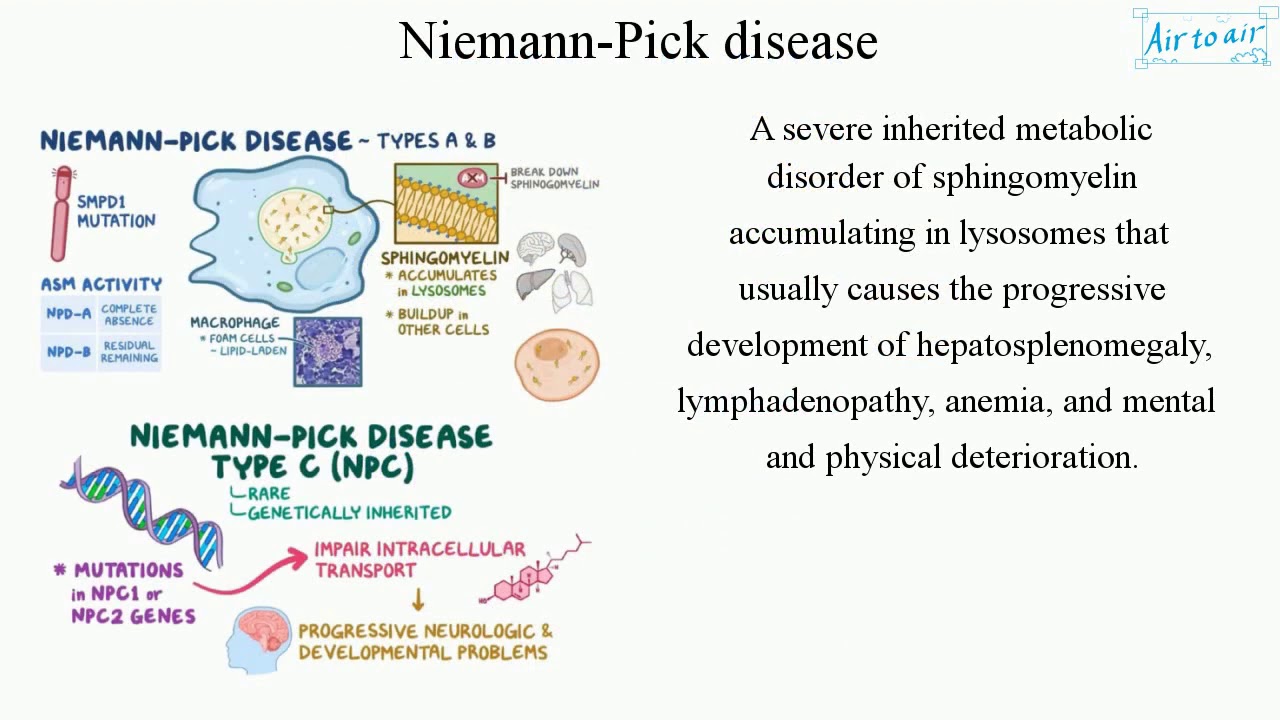 Niemann-Pick disease types A and B (NORD): Video