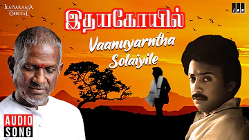 Vaanuyarntha Solaiyile Song | Idaya Kovil Movie | Tamil Song | Ilaiyaraaja | SPB | Mohan | Radha