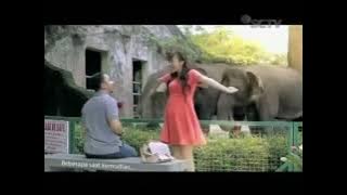 Download lagu Iklan Neo napacin - gajah 🐘 (04 Febuari 2015) SCTV