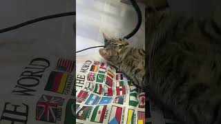 IMG 0050