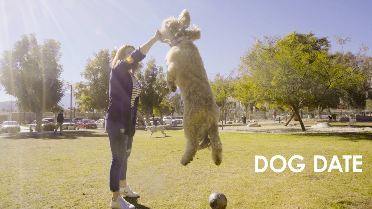 Plan the Perfect PetFriendly Getaway in Greater Palm Springs YouTube