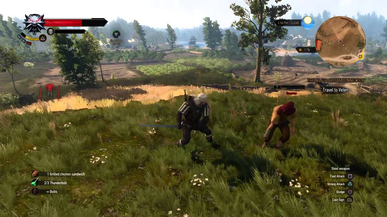 Crazy kill! Witcher 3