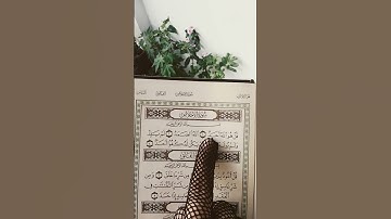 #سورة_الإخلاص #ikhlas #egzonibrahimi #duet #quran #trending #love #islamicstoriesinurduandhindi