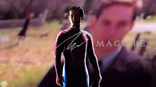 Spider-Man: No Way Home End Credits - Endgame Style