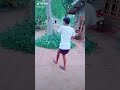 Guru Koo Boole Tik Tok