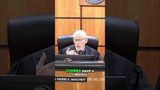 Criminal Records &amp; Felonies Explained #shorts