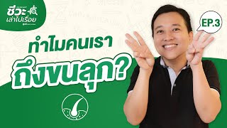 ชีวะเล่าไปเรื่อย PODCAST by พี่บิ๊ก WE BY THE BRAIN EP. 3 - ขนลุกเพราะอะไร?