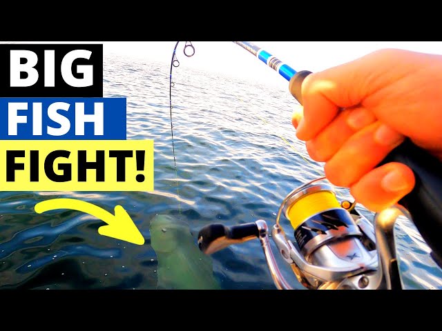 5 Ways Your Reeling In Big Fish The Wrong Way 