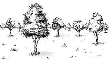 How to Draw Trees in Perspective - The Easiest Method