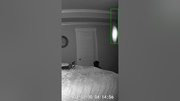 Look at that orb! #paranormal #ghost#orbs #orbfan