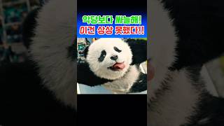 #판다플랜2025 #성룡 #코믹액션