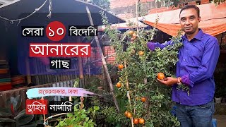 সেরা ১০টি বিদেশি আনারের জাত তুহিন নার্সারিতে | Top 10 Anar Tree Price | Gardening Bangladesh