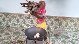 Super Funny! Abu stole chicken eggs to cook by FUNNY ANIMALS ABU 7,782 views 5 days ago 11 minutes, 30 seconds