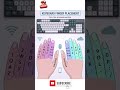 ✅ Boost Your Typing Speed 🤫  #shorts #ytshorts #trendingshorts #excel