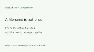 Why Is My Compressed GIF Not Smaller | SlimGIF