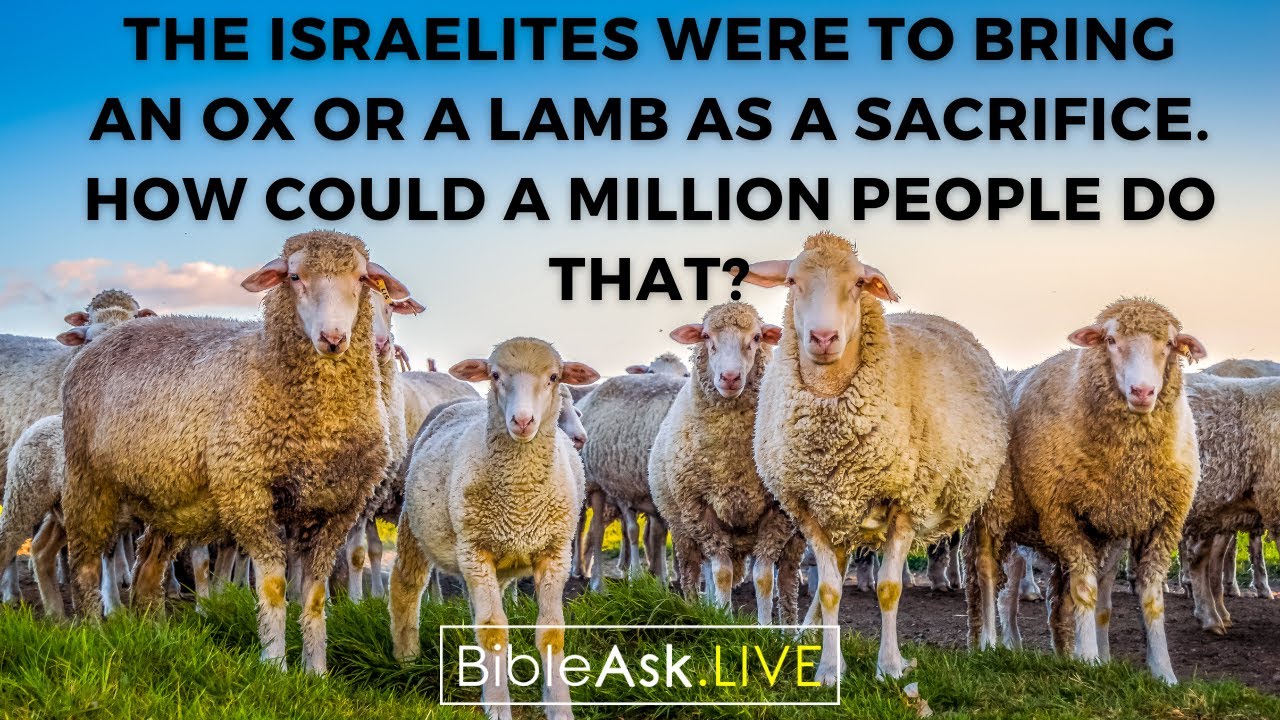 The Israelites were to bring an ox or a lamb as a sacrifice. How could a million people do that?