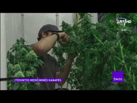 Video: 5 Faktai, Kurie įtikins Jus Palaikyti Marihuanos Legalizavimą