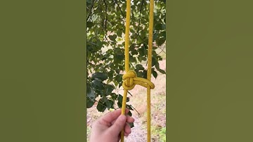 Practical ideas of using the alpine butterfly loop knot  #rope #knot #usefulknot