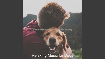 Pulsating Cute Puppies