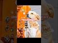 Aloka is wishing for peace ☮️ #aloka #walkforpeace #usa #myanmar #india