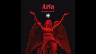 ARIA - (Fendy Siregar x ZNFY EDIT)