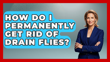 How Do I Permanently Get Rid Of Drain Flies? - Insects and Invaders