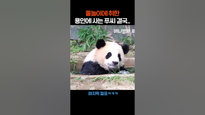[속보] 물놀이에 취한 용인에 사는 푸씨 결국.. #애니멀봐푸바오 #shorts