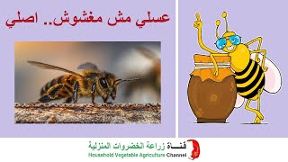 فوائد النحل | Bees