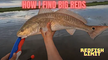 How I pre-fish tournaments and find LARGE Redfish