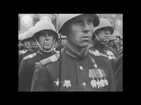 Берёзовые сны  1941-1945