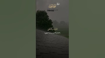 إبداع الشيخ كامل يوسف البهتيمي.. سوره المؤمنون ❤️❤️ #اكسبلور #حالات_واتس  #hijab @MrBeast