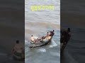দুরন্ত শৈশব,