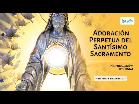 Adoración Eucarística en directo 🔴 Miércoles, 10 de julio de 2019 medjugorje church