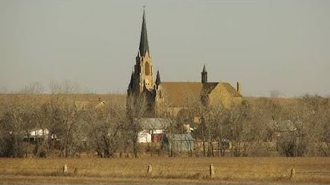 Pfeifer: Kansas Story