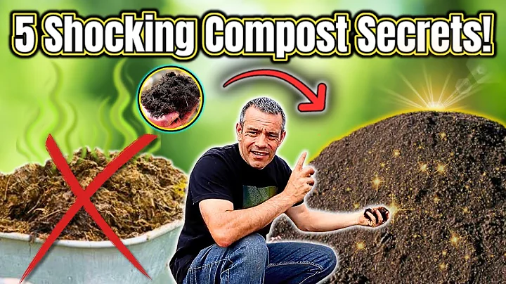 5 Compost Secrets That Will Shock You! (Beginners Must Watch)